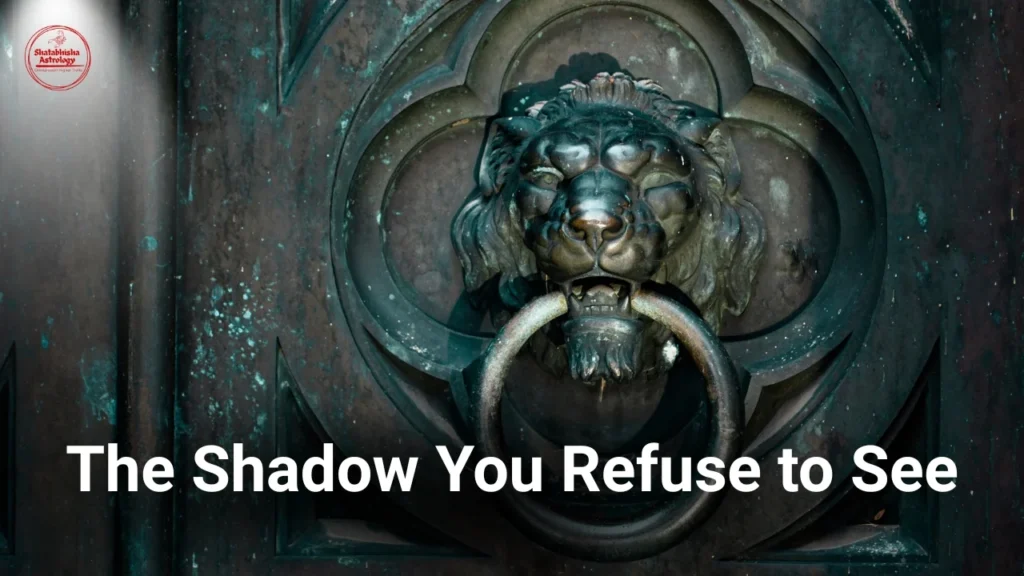 The Shadow You Refuse to See