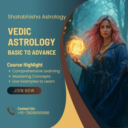 Vedic Astrology Basic to Advance Batch 2024